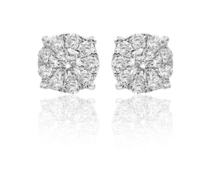 0.36ct Diamond Earrings set in 14KT White Gold / FER2139D1